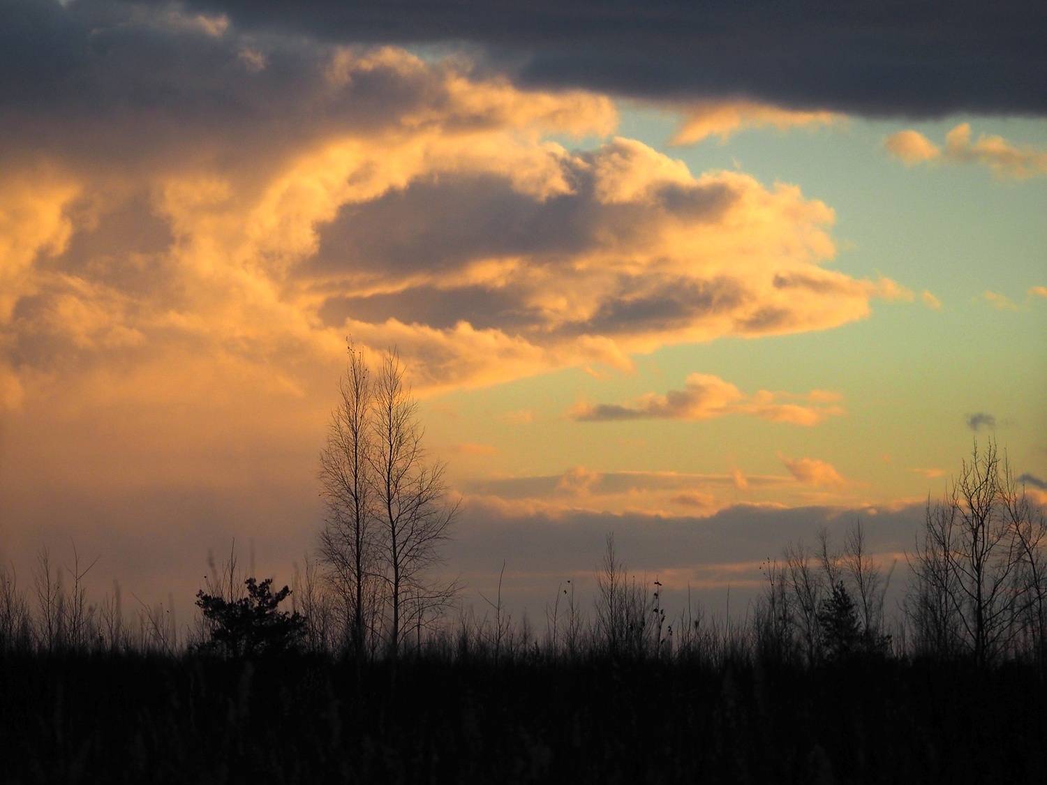 Photo #12499678