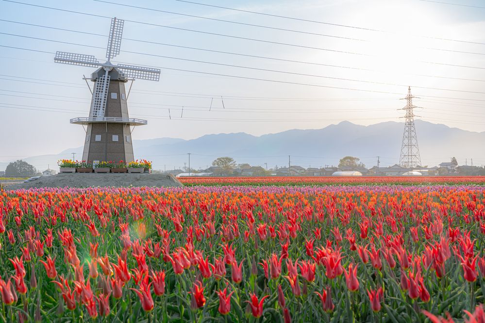 Фотография автора Nagai Go