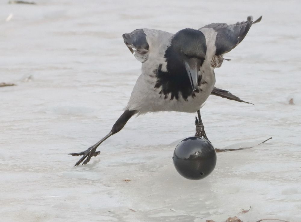 Photograph by Сергей Маслов