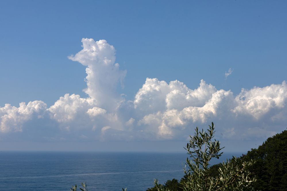 Photograph by София Серёжечкина