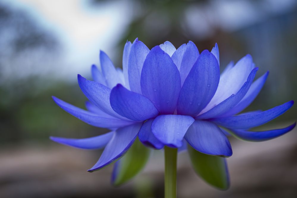 Фотография автора Nagai Go