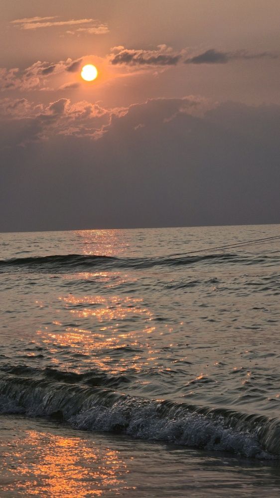 Photograph by Элеонора