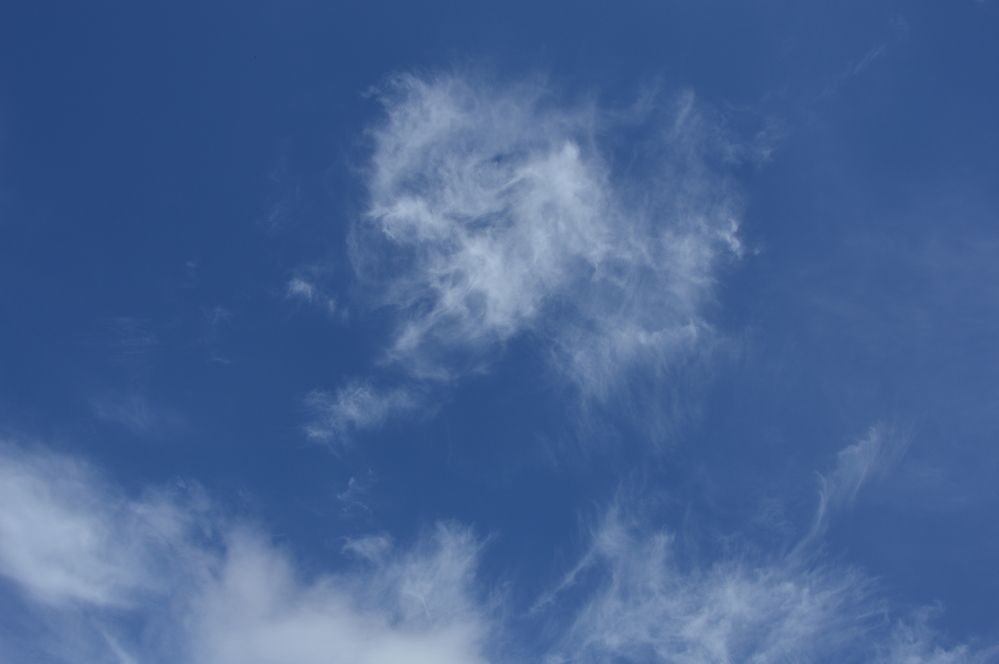 Photograph by Елена Савчук