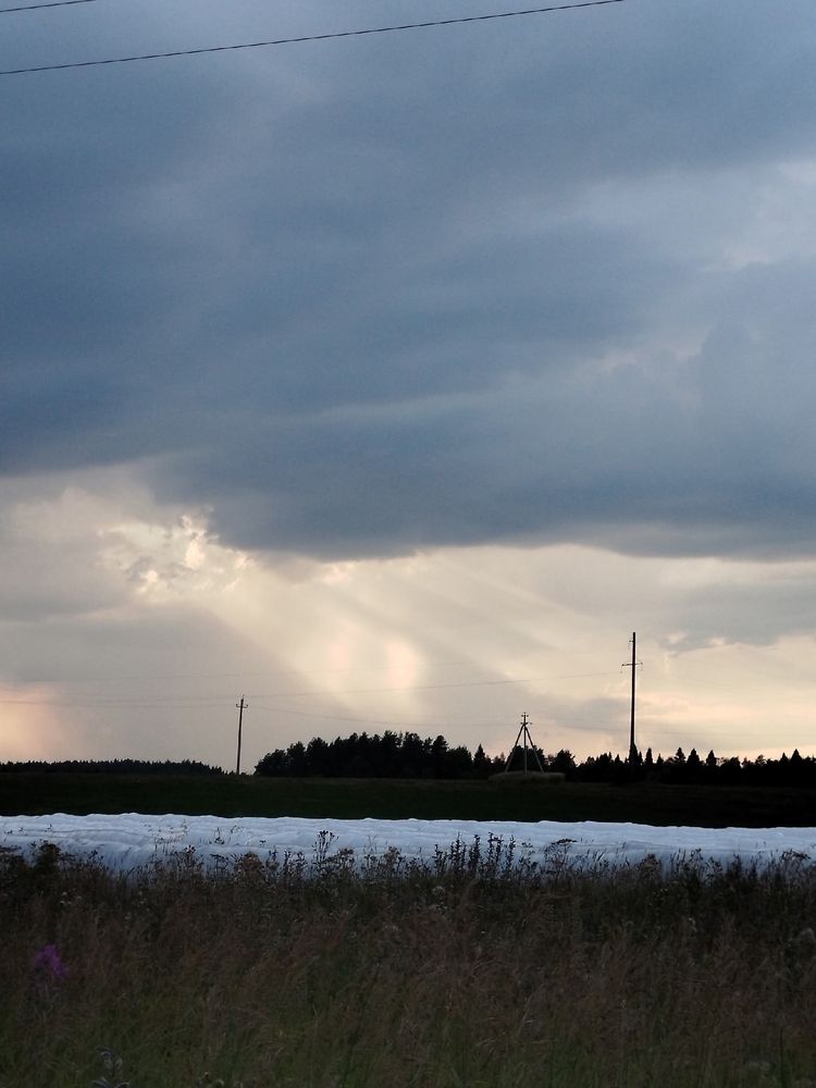 Photograph by Яна Сальникова