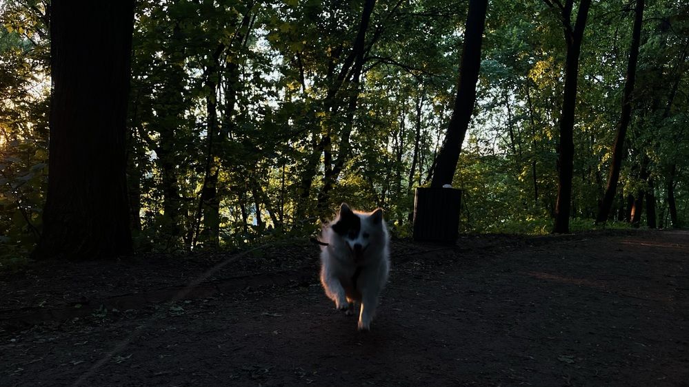 Photograph by Таисия