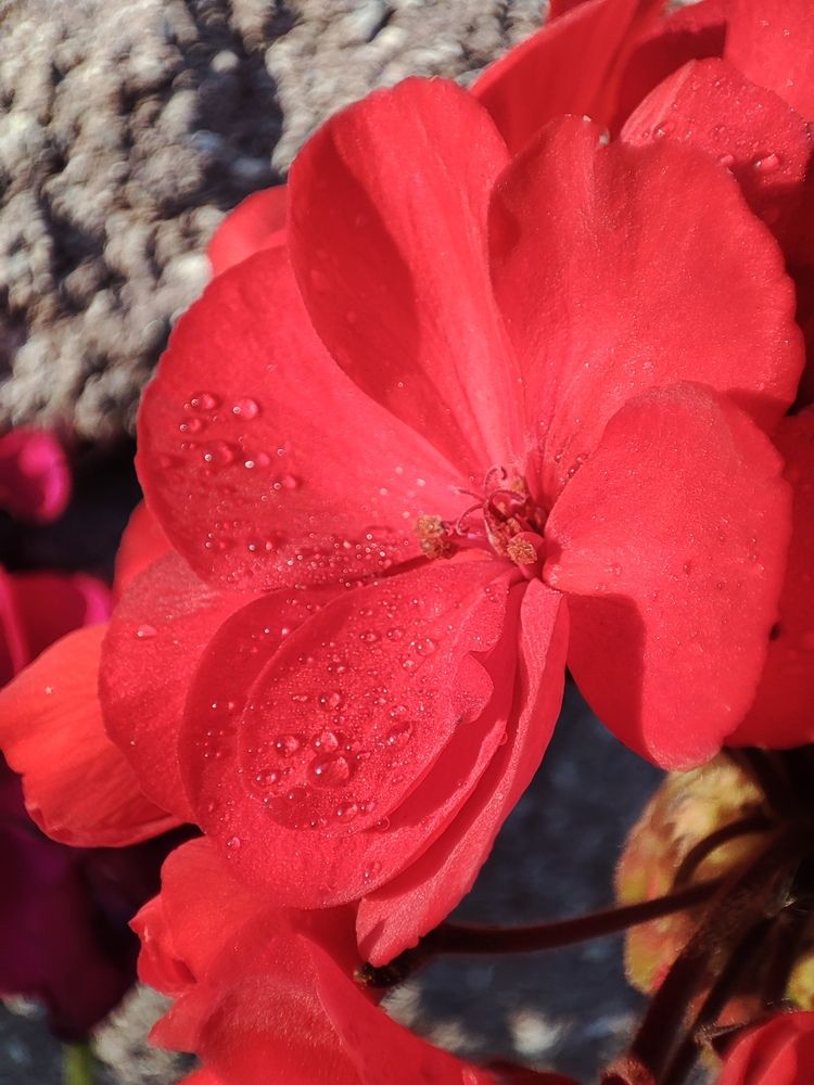 Photograph by Людмила Кузнецова