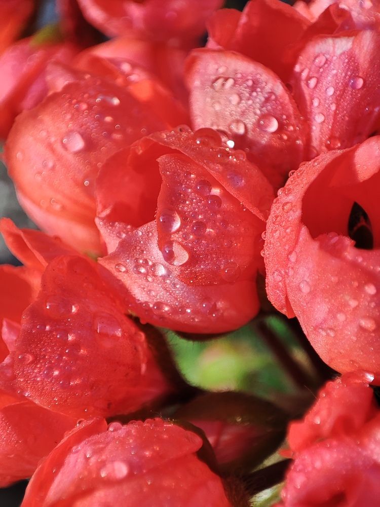 Photograph by Людмила Кузнецова