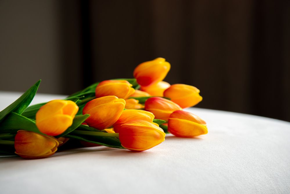 Фотография автора Наталия Шарова