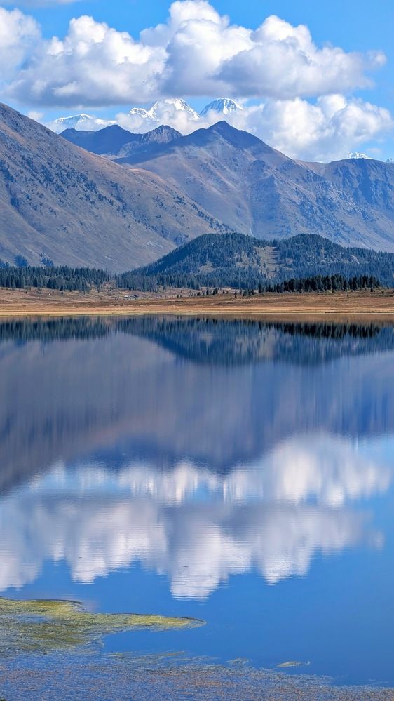 Фотография автора Марина Кириченко