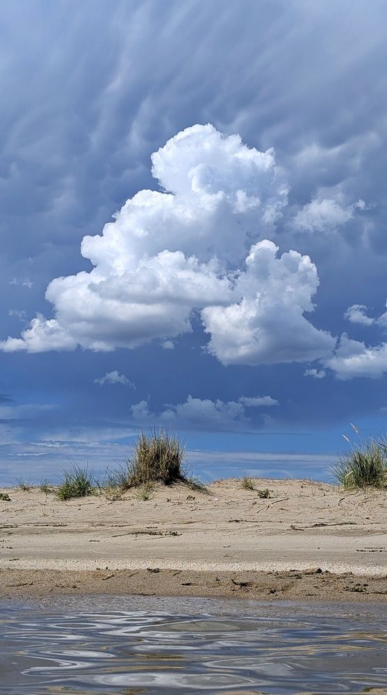 Фотография автора Марина Кириченко