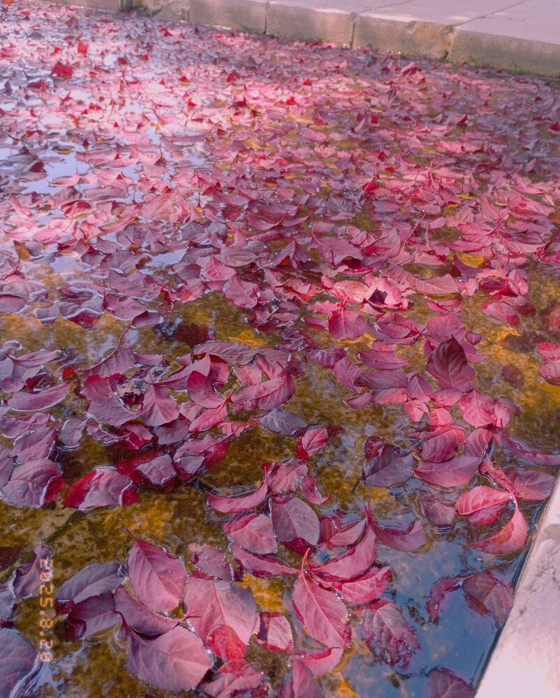 Photograph by Савина Анастасия Николаевна