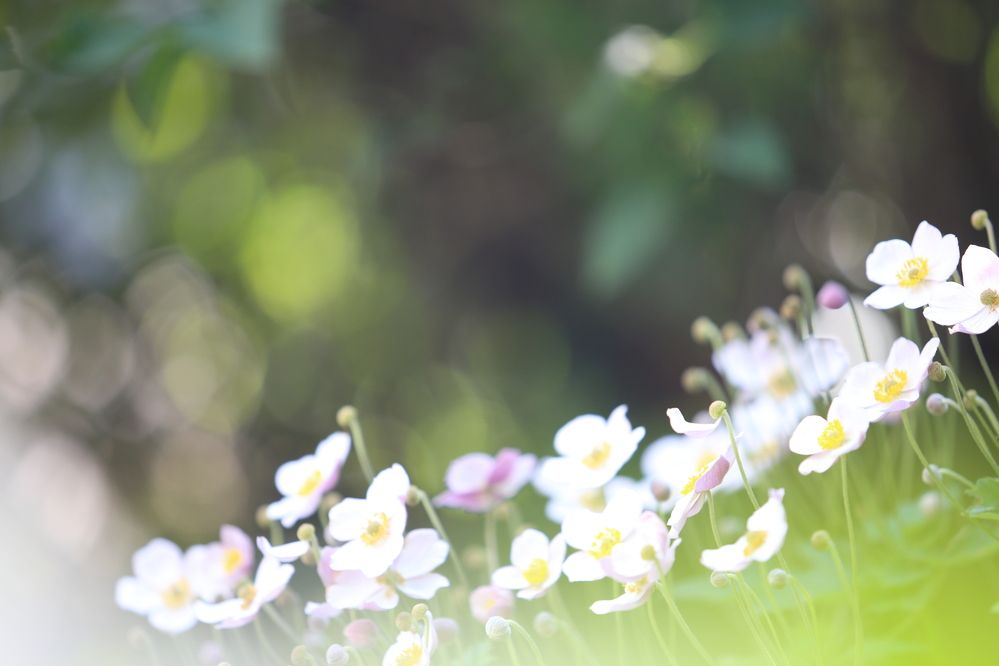 Photograph by Анна Шаповалова