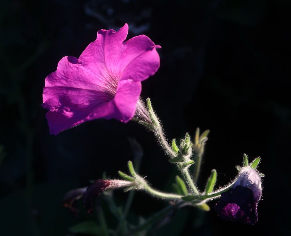 Photograph by Нина