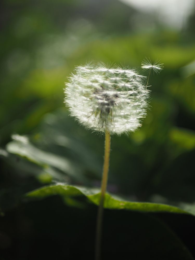 Photograph by Елена Шишкина