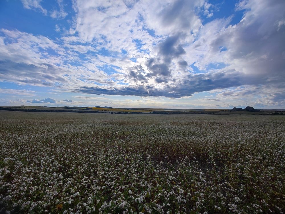 Photograph by Валерий Лунев