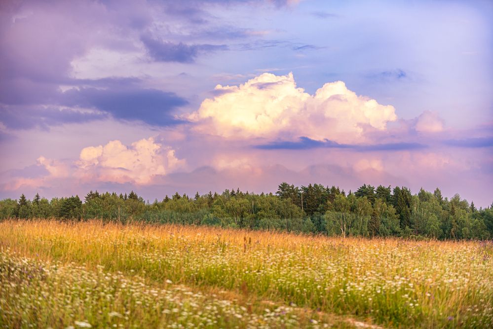 Фотография автора Наталия Шарова