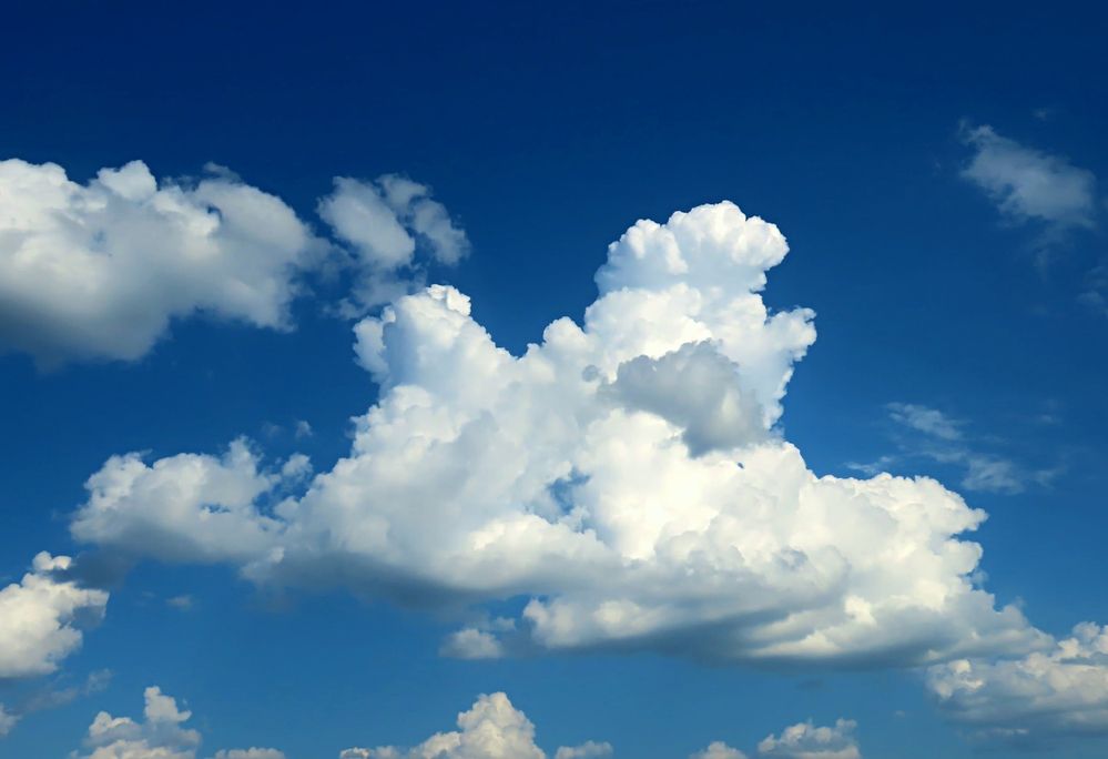 Photograph by Pjotr Alekseev