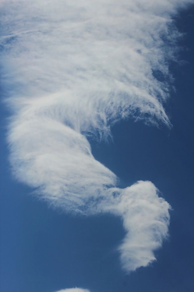 Photograph by Ирина Шибитова