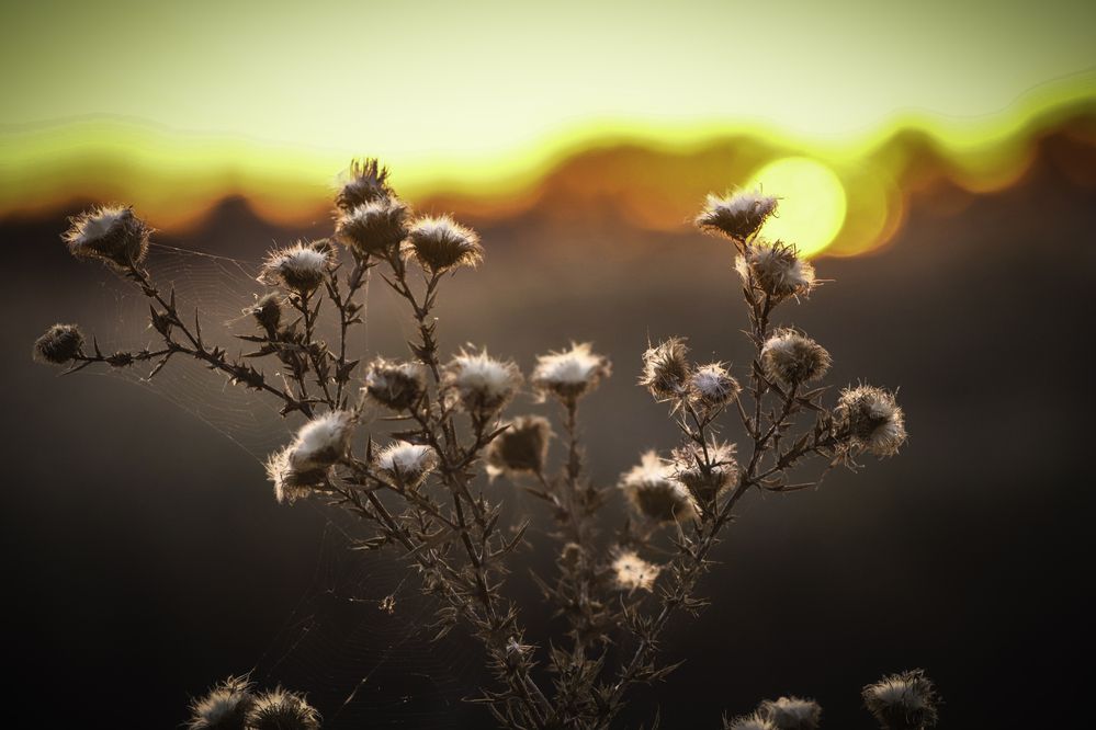 Фотография автора Михаил Лупина