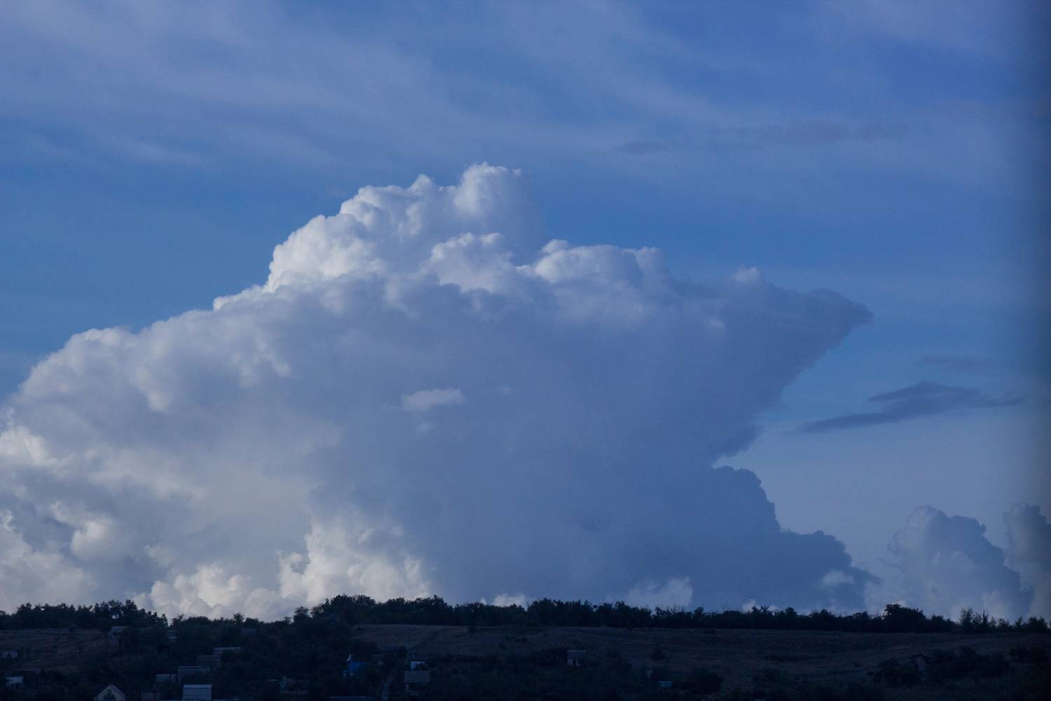 Photo #12499832