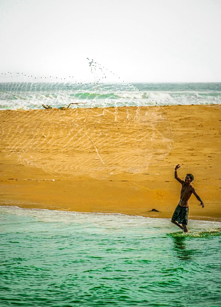 Between Sand and Sea