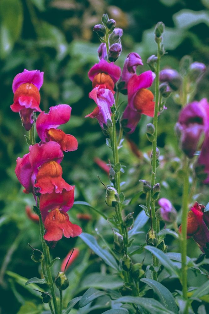 Photograph by Галчонок Ахмерова