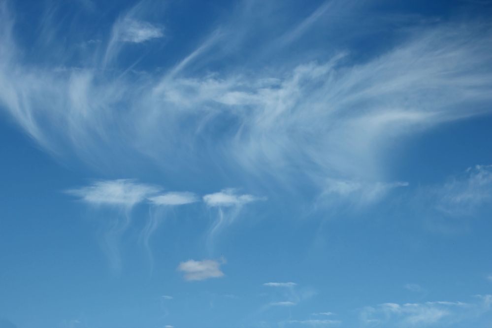 Photograph by Ирина Шибитова