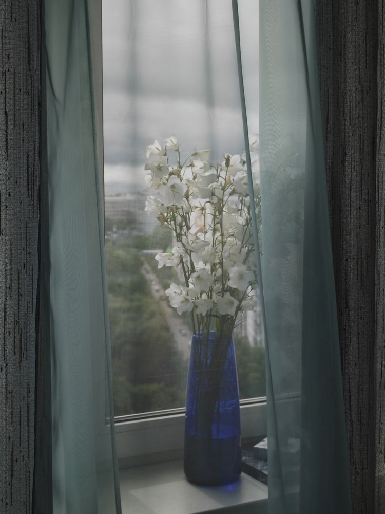 Photograph by Александра Шилова