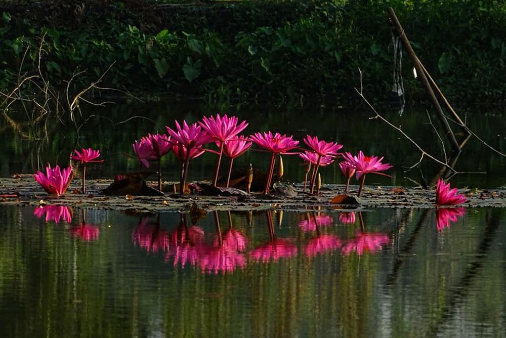 Photograph by Shahidul Islam