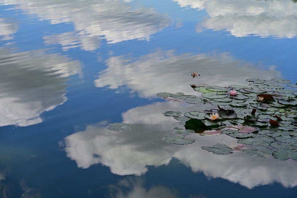 Photograph by Наталья Сергеева