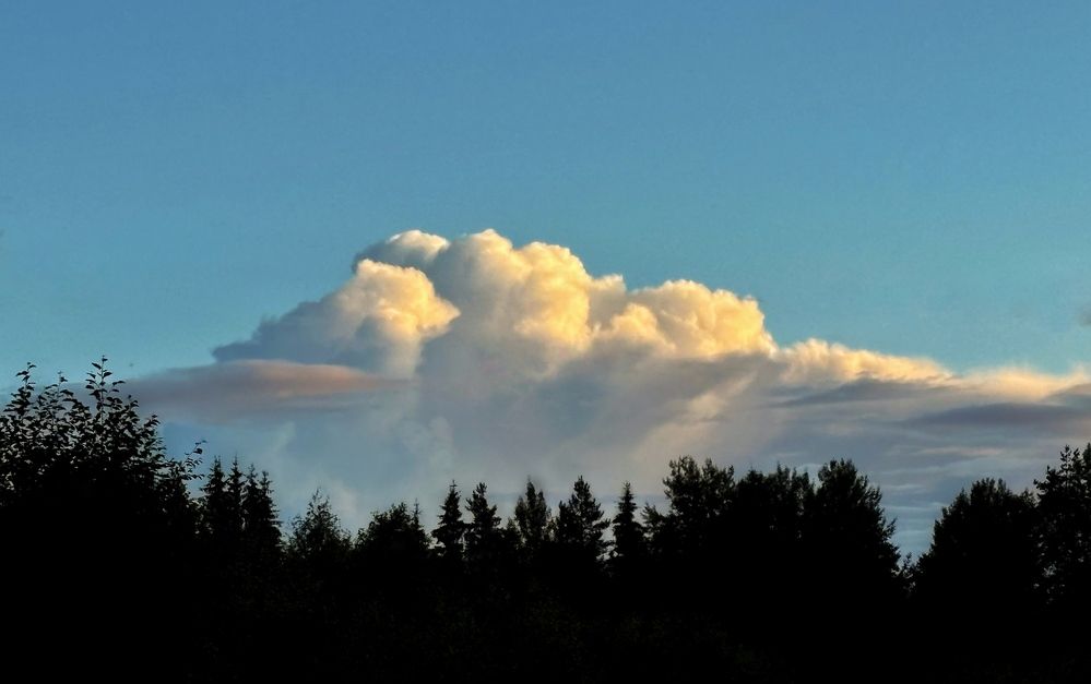 Photograph by Василина Щеглова