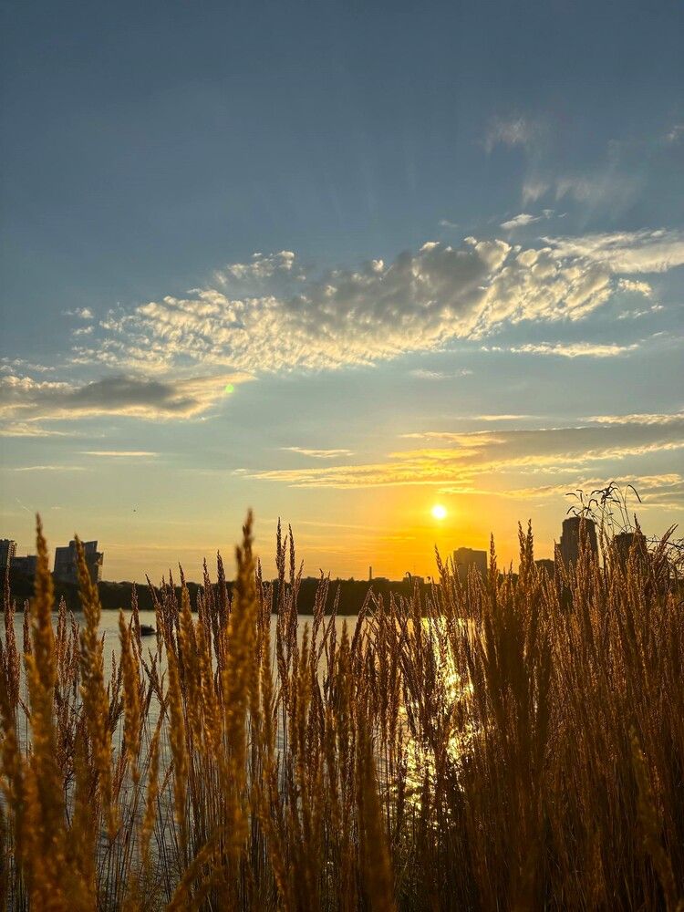 Фотография автора Igor