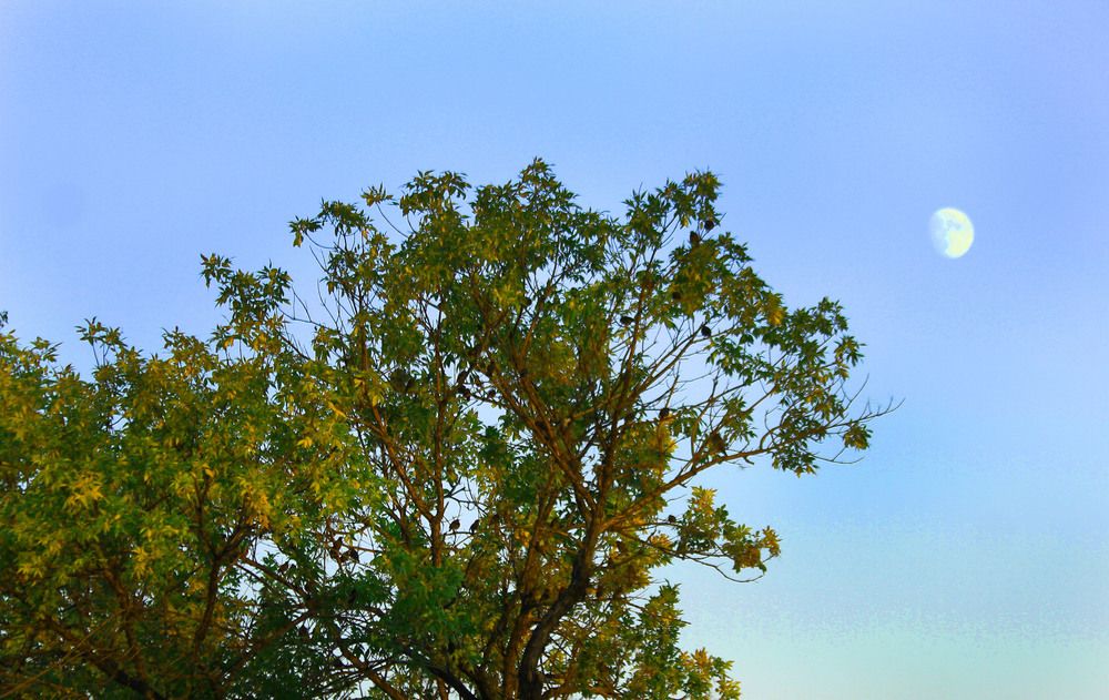 Photograph by Алтынбек Қартабай