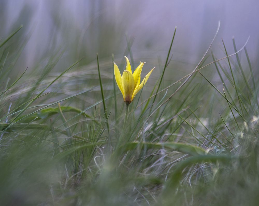 Photograph by Наиль Шакиров