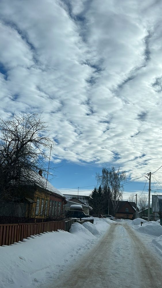 Photograph by Елена Гущина