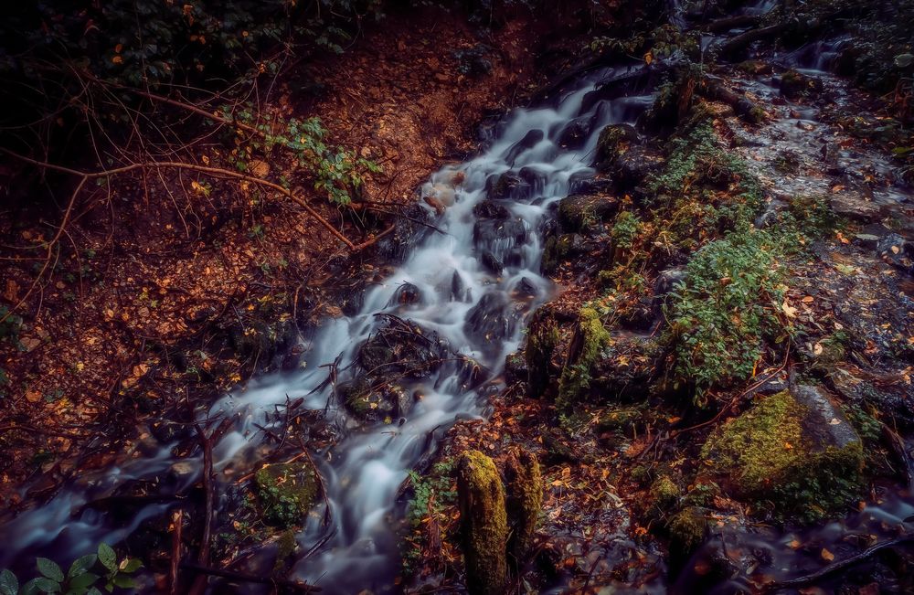 Photograph by Евгений Сеничев