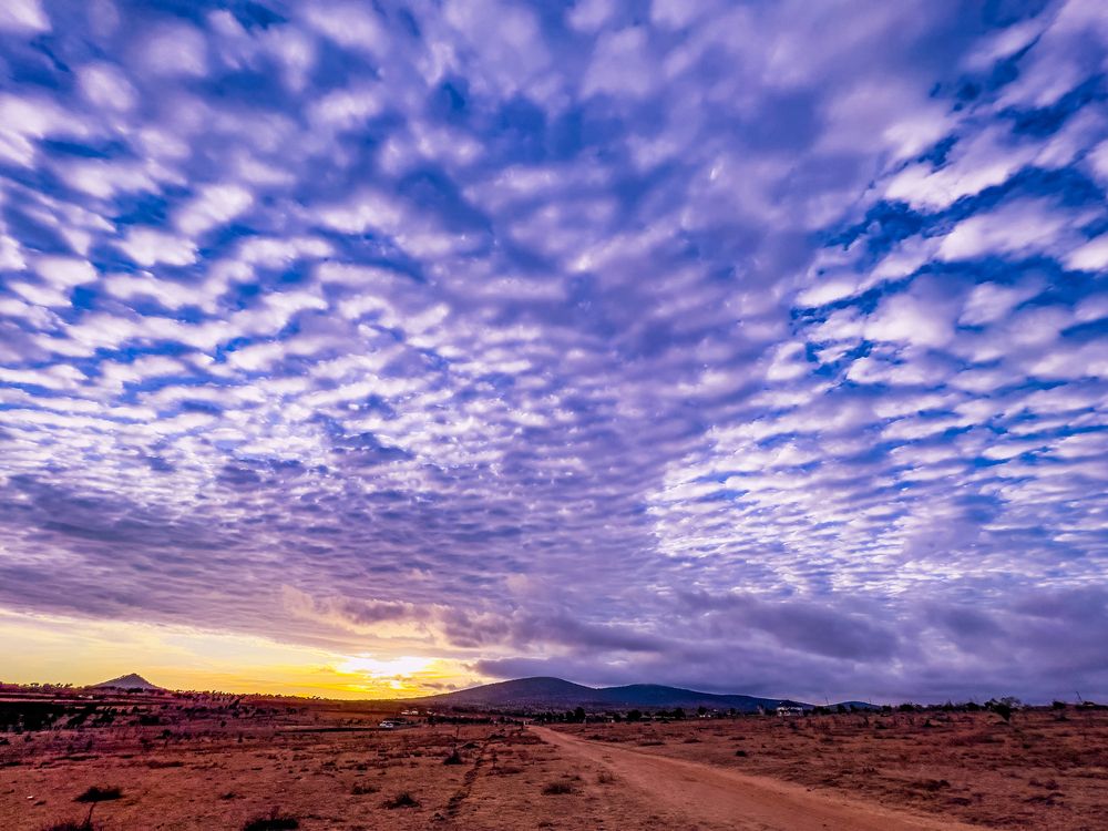 Photograph by Trivet Antony