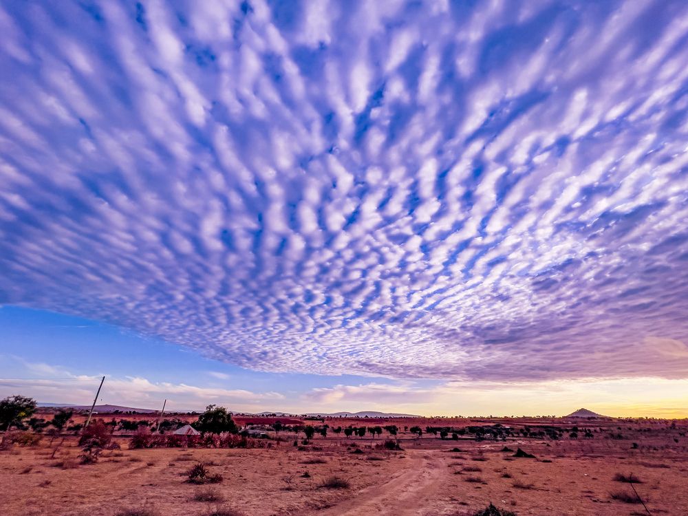 Photograph by Trivet Antony