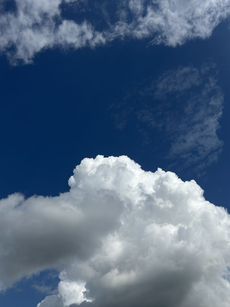 Фотография автора Надежда Уфимцева