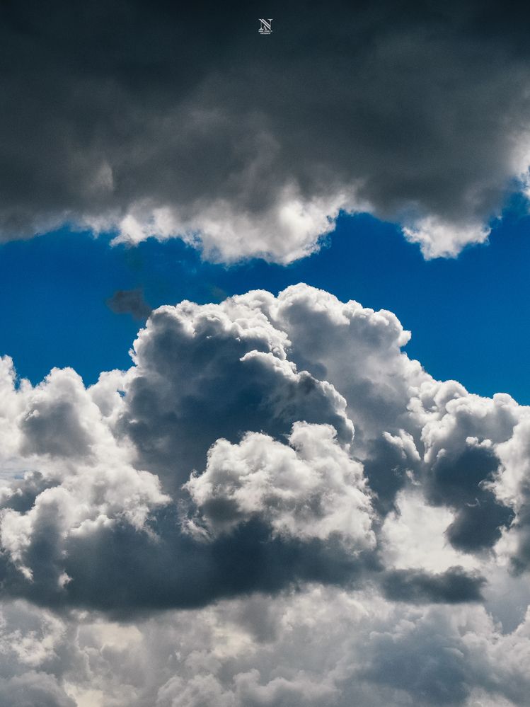 Photograph by NADER AYMAN