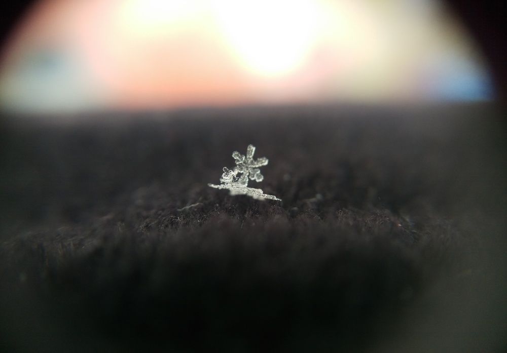 Photograph by Мехтиев Джафар