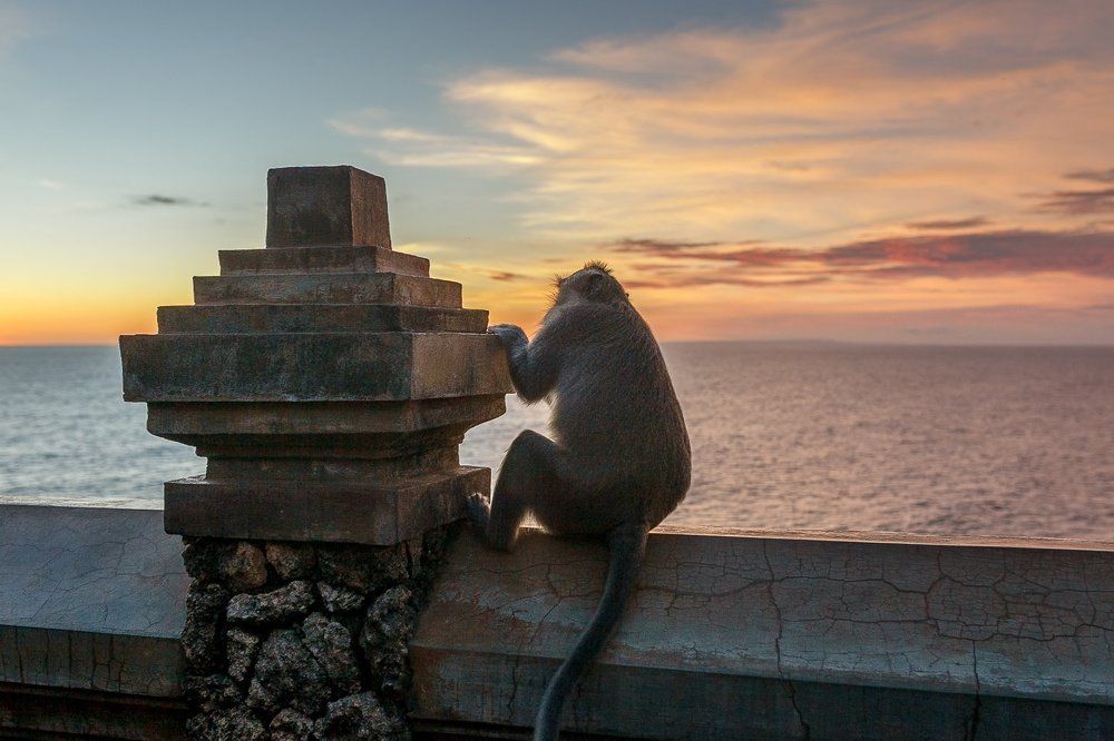 Главный зритель