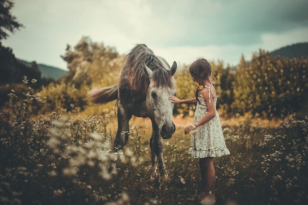 В стране чудес!