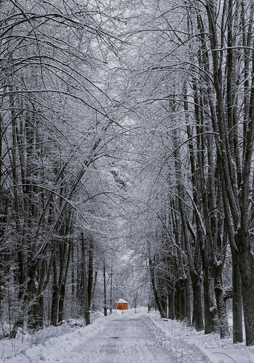 Зимняя прогулка