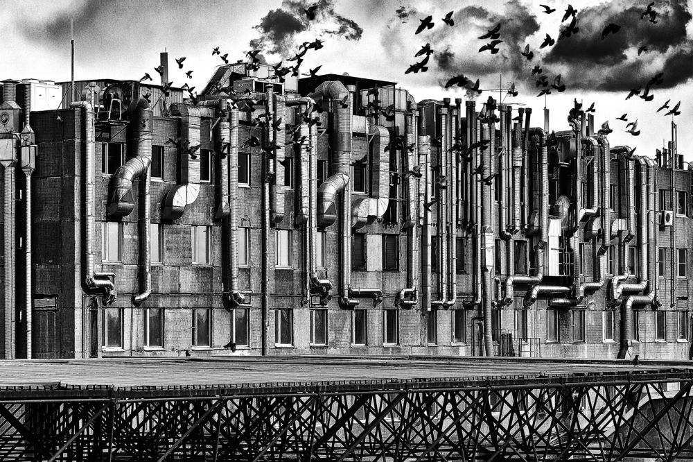 страсти по Хичкоку