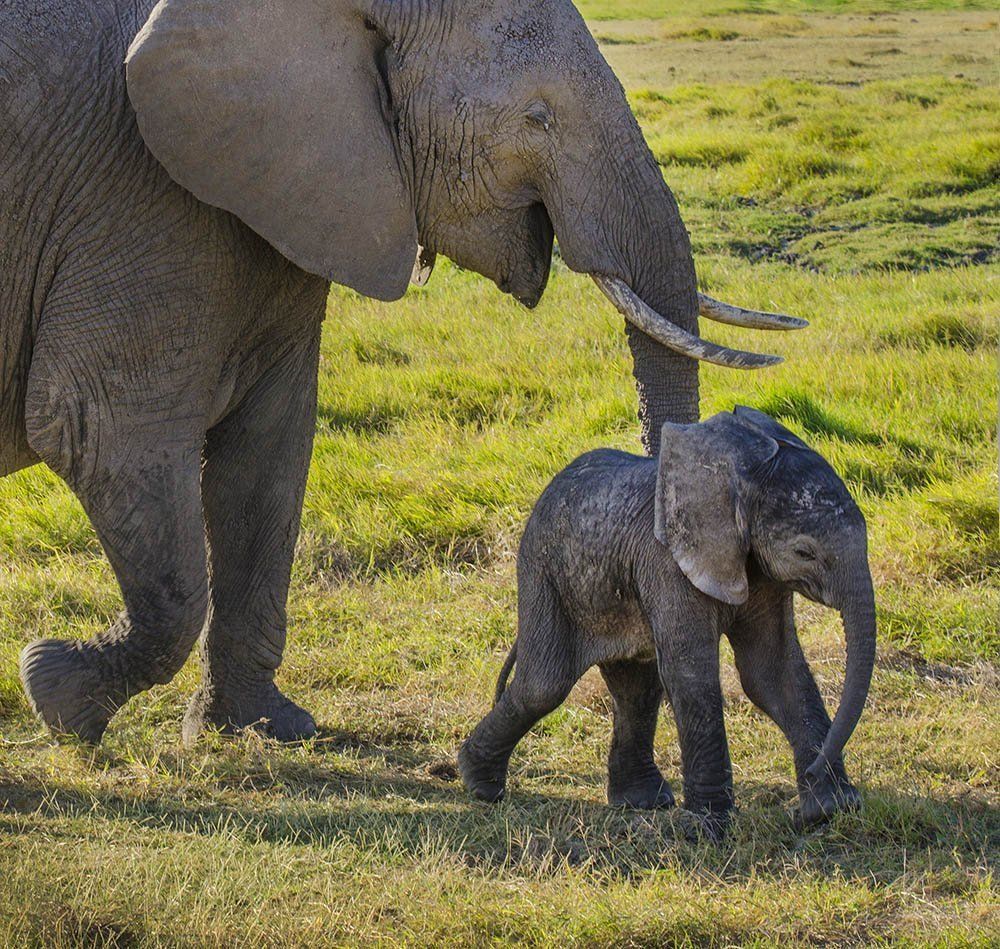 Рядом с мамой