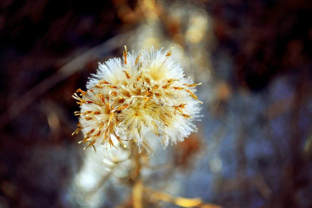 Photograph by Настюша