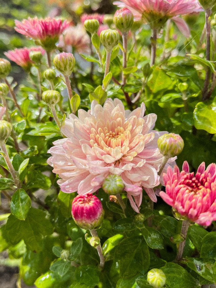 Photograph by Регина Габдулхаева