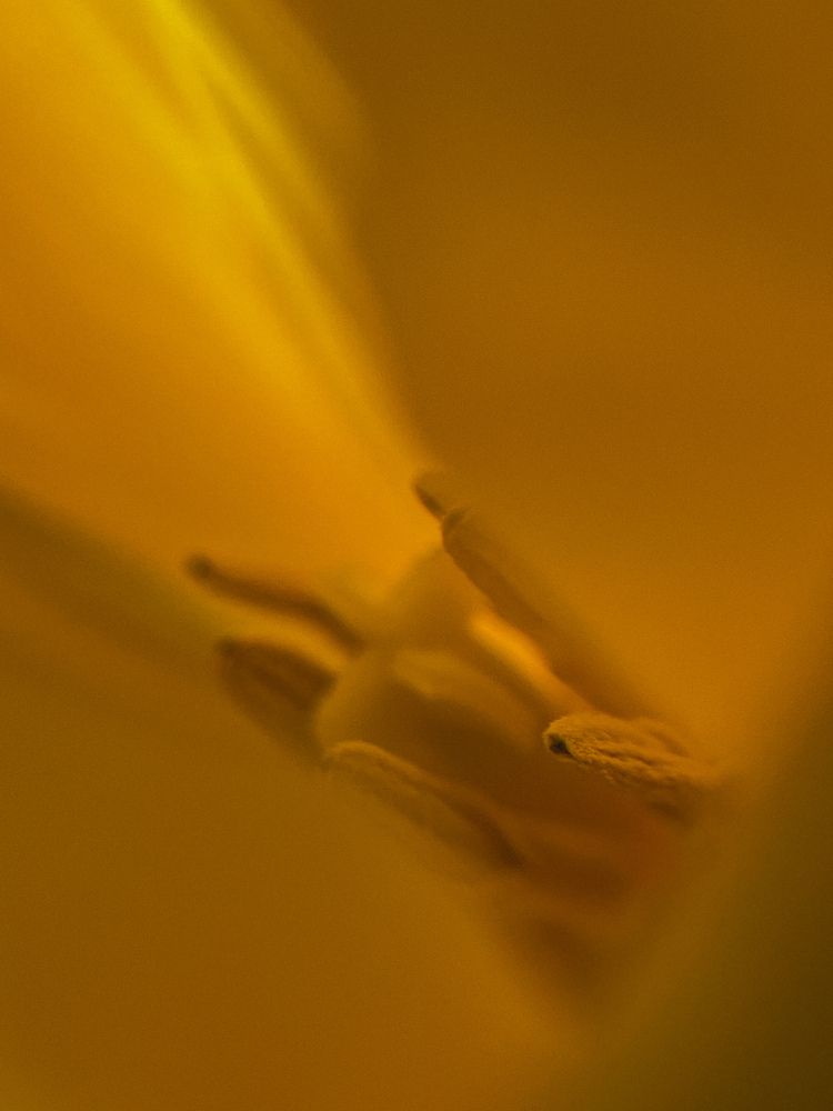 Photograph by Регина Габдулхаева