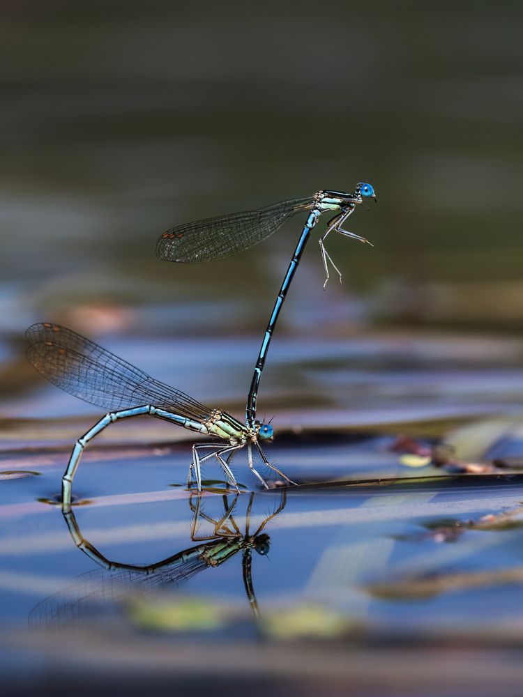 Photograph by Nephotograph